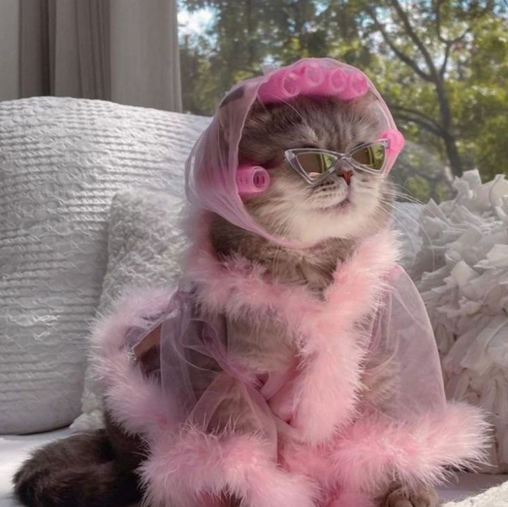 Meet your Posher, Evony